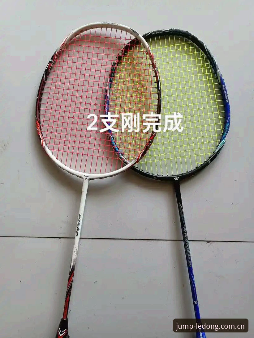 乐动体育官网地址评测 乐动体育官网地址评测:官方平台与第三方入口的全面对比